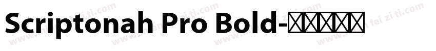 Scriptonah Pro Bold字体转换